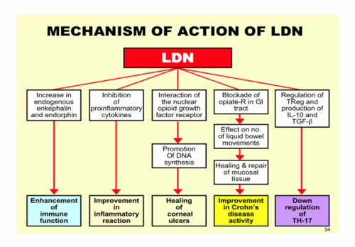 Low-Dose Naltrexone